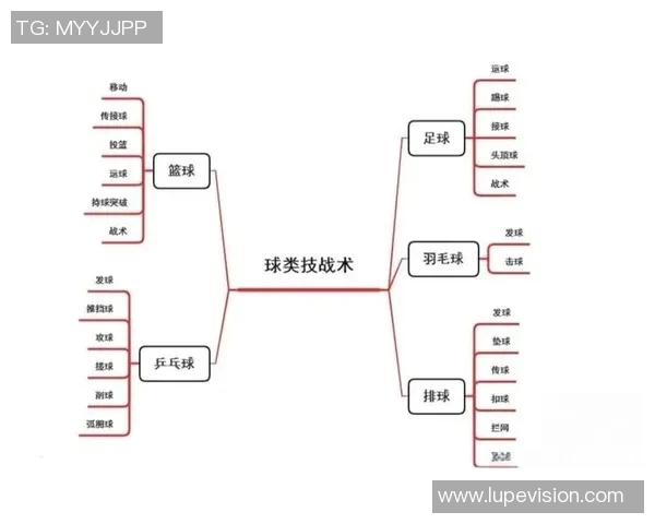上海篮球队反击战术分析与得失总结探讨