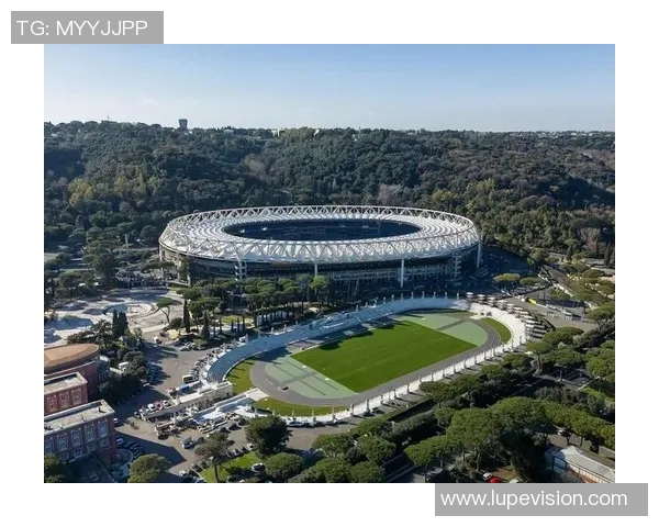 七人足球明星的传奇故事与他们在绿茵场上的辉煌瞬间