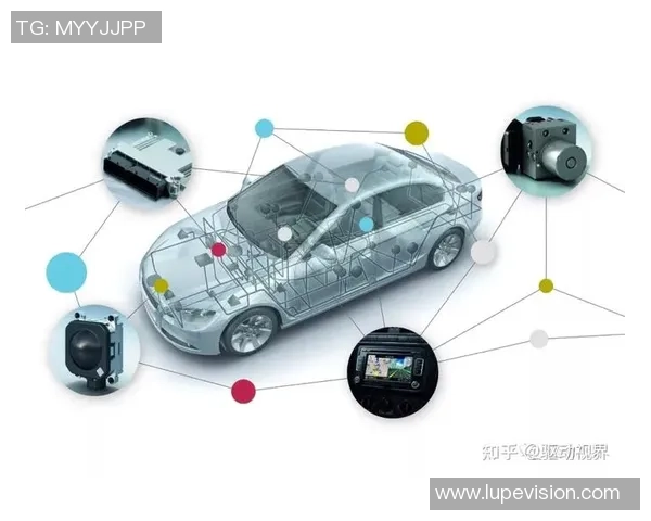 武汉排球队的转型之路与未来发展趋势深度解析 武汉排球队的转型之路与未来发展趋势深度解析