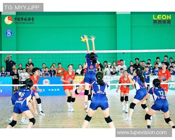 深圳排球队总决赛精彩表现分析与未来展望 深圳排球队总决赛精彩表现分析与未来展望