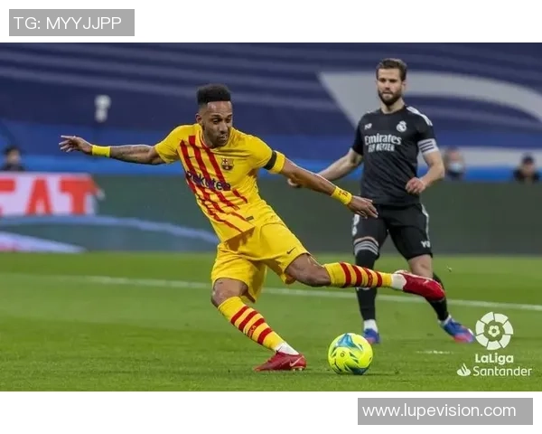 大满贯积分榜：西安排球队以52分领跑