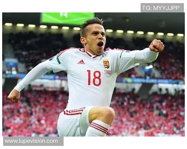 欧锦赛特别报道：成都羽毛球队的逆袭之旅