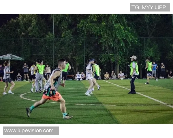 从零开始：飞盘力量完全攻略