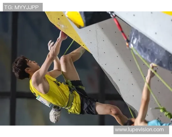 2026攀岩节奏排名：上海攀岩队创新高