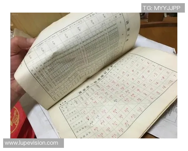 专业解读：武汉排球队的区域防守打法