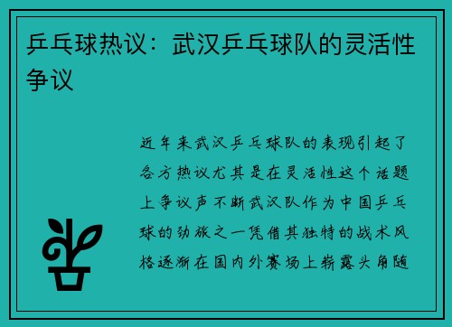 乒乓球热议：武汉乒乓球队的灵活性争议