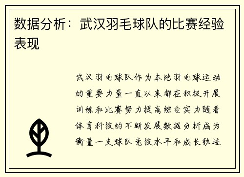 数据分析：武汉羽毛球队的比赛经验表现